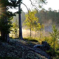 Рассвет :: Андрей Зайцев
