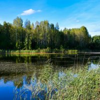 Осенний вечер на озере (репортаж из поездки по области). :: Милешкин Владимир Алексеевич 