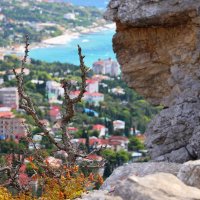 Вид с горы Кошка (Симеиз) Крым :: Светлана Тихонина