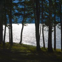 Обское море (водохранилище) :: Татьяна Лютаева Обское море (водохранилище) :: Татьяна Лютаева