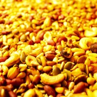 Орехи :: Александр Чашин