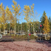 Картинки осени :: Ольга 