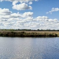 Вдоль по озеру :: Андрей Макурин