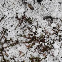 «Пенопластовая фантазия» :: Татьяна Чаброва