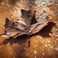 Павшие в космос октябрьских рос. :: Анатолий Щербак