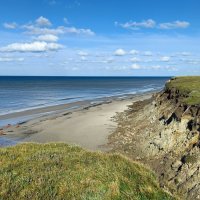 Тундра, море :: Александр Ульныров