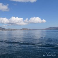 Природа Крыма :: Amazing Cosmea