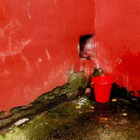 Послал купить я красное ведро... :: Maria Rainer