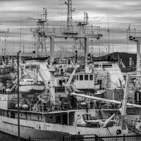 ... :: Жора Житников ... :: Жора Житников