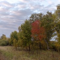 ВОТ И ЛЕТО ПРОШЛО... :: Володька Завитушкин