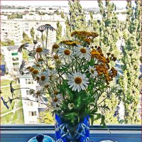 На окошке! Солнечно! :: Валентина  Нефёдова 