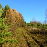 Осенний пейзаж. :: Михаил Колосов Осенний пейзаж. :: Михаил Колосов