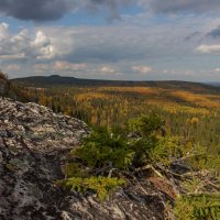 Феерия осени. Коноваловский увал. :: Евгений Тарасов Феерия осени. Коноваловский увал. :: Евгений Тарасов