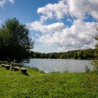 Стояли две скамеечки... :: Николай Гирш