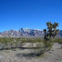 Кусочек американского штата Невада. :: unix (Илья Утропов)