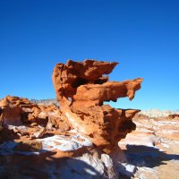 Глазастый и зубастый. :: unix (Илья Утропов)