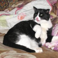 Я умываюсь :: Людмила Смородинская