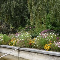 Москва. Август в Аптекарском огороде. :: Наташа *****