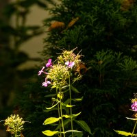 Вот и осень :: Игорь Сикорский Вот и осень :: Игорь Сикорский