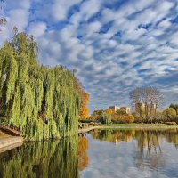 Парк :: Александр Сивкин