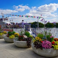 Набережная в Коломенском :: Ольга 