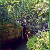 Грузия.  Мартвильский природный парк. :: Ольга Довженко