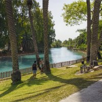 Израиль север страны *Кибуц Нир Давид :: ujgcvbif 