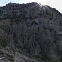 Природа Крыма :: Amazing Cosmea