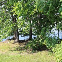 *** :: Любовь ***