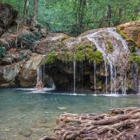 * :: Андрей Финогенов