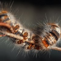 * :: Андрей Финогенов