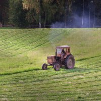 Покос трав :: Владимир Кириченко  wlad113