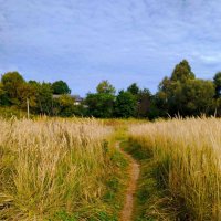 Пасторальное :: Галина Бобкина