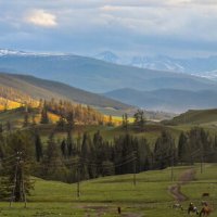 Дорога на Улаган :: Grishkov S.M.