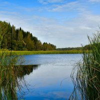 Клёвое место на озере (репортаж из поездок по области). :: Милешкин Владимир Алексеевич 