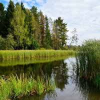О красоте Смоленской природы. :: Милешкин Владимир Алексеевич 