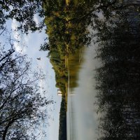 * * * :: Андрей Лукьянов