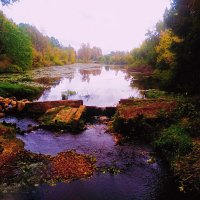 Осенний вечер :: Сергей Кочнев