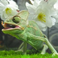 после перекуса :: ИРЭН@ .