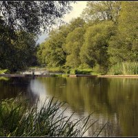 *** :: Aleksandr Gal