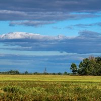 Начало Осени :: Игорь Сикорский Начало Осени :: Игорь Сикорский