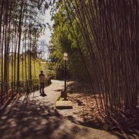 Прогулка в полдень :: Татьяна Сергиенко Прогулка в полдень :: Татьяна Сергиенко