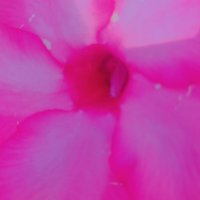 13  ОПЕН (370) :: OPEN WAYS ALL