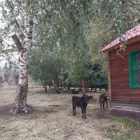 Talgar. :: Murat Bukaev Talgar. :: Murat Bukaev