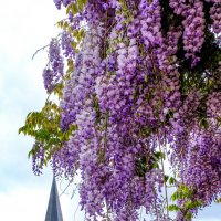 Церковь д. Ле Бек Хеллуин :: Георгий А Церковь д. Ле Бек Хеллуин :: Георгий А