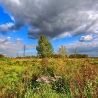 На просторах Сибири :: Mikhail Irtyshskiy На просторах Сибири :: Mikhail Irtyshskiy