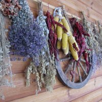 * :: Galaelina *** * :: Galaelina ***