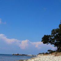 Берег. :: Александр Кондаков