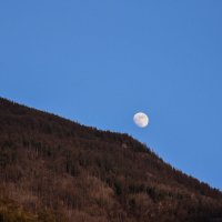 Восход луны :: Grishkov S.M.