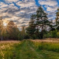 Осень она не спросит 15 :: Андрей Дворников